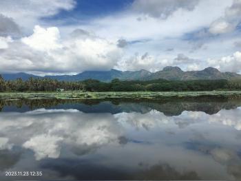This picture is taken from Veerani Aloor, Wetland, Kanyakumari, Tamil Nadu