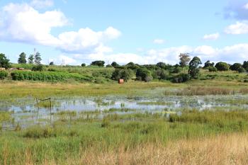 Lomahasha, Eswatini