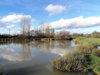 Winter at the old decoy ponds, hidden away in the fields near Poling.