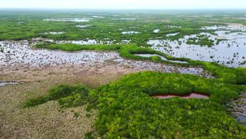 Flooded marshes of Collier County, Florida in the Fakahatchee Strand taken by drone flown from a canoe.