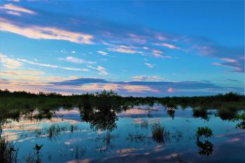 Collier County, Florida - National Wildlife Refuge Canoe Trail 4 flooded marsh