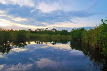 Collier County, Florida - National Wildlife Refuge Canoe Trail 4