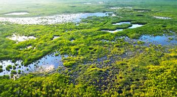 Ten Thousand Islands National Wildlife Refuge canoe trail 4 in Collier County, Florida, looking east, taken by a drone at 300 ft hovering over a canoe in Duke's lake.