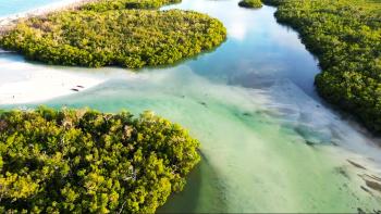Bartell Bay in Collier County, Florida with John Pass to the west (left) looking north at the mangrove fringe.  The Pass was recently reopened by Hurricane Ian. Photo taken by a drone from about 100 ft launched from the sandbar by the canoe.