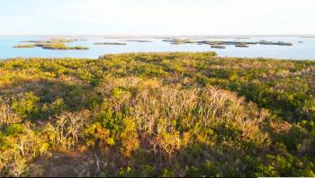 Estero Bay in Lee County, Florida showing mangrove islands.  Photo taken by drone over Mound Key Archaeological Site looking north from about 100 ft.