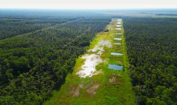 Picayune Strand restoration, Collier County, Florida.  Canal was filled in to force overland sheetflow, and a succession of small watering holes was left for wildife.  Photo was taken by drone at about 200 ft looking east flown from a canoe in the Faka Union canal.