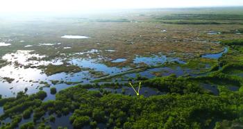 Don Rice and Tom Long paddling in the Turner River Marsh, Collier County, Florida.  Drone photo from about 200 ft looking north.