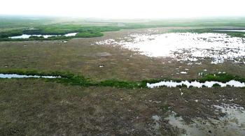 East River Marsh near Wrong Way Lake, in the Fakahatchee Strand, Collier County, Florida.  Drone aerial taken looking east from about 300 ft.