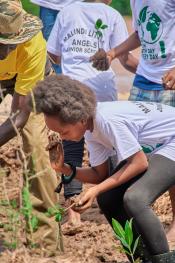 Planting mangroves seedlings at Sabaki estuary next to Indian Ocean