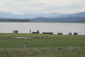 Pong Dam Lake Wetland, Himachal Pradesh, India