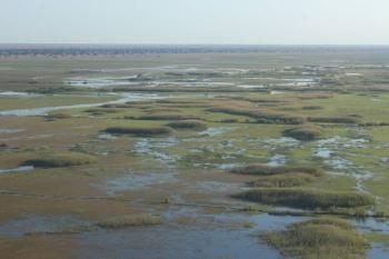 Aerial view of the Bangweulu wetlands, northern Zambia