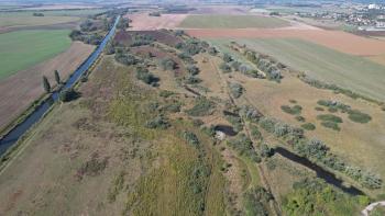 If we want more turtles in the wild, we need to find space for them. Or create it for them.
- BROZ - conservation association, Slovakia.
Strategic habitat restoration and management are crucial for conserving and increasing endangered wild turtle populations.