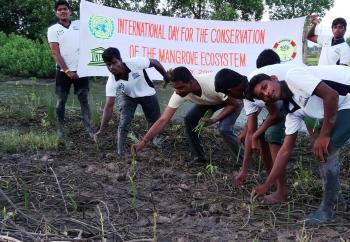 Mangrove ecosystems are threatened by climate change.Sea level rise the greatest threat to mangroves.Most mangrove sediment surface elevations not keeping pace with sea-level rise
 There is less certainty over other climate change outcomes and mangrove responses.Coastal planning can adapt