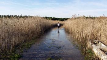 Registo da subida da água na Lagoa Pequena, alagando o caminho de acesso aos observatórios de aves do Espaço Interpretativo da Lagoa Pequena.