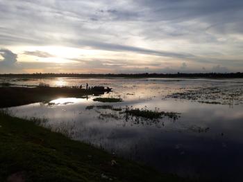 Satbaria Jola(Low Land), Cumilla, Bangladesh