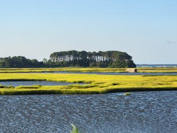 Chincoteague, Virginia