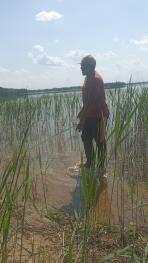 A huge dam bordering Latvia and Liuthania in Europe. Looks very healthy, with aquatic plants floating in some areas. There is lot of aquatic animals livingin it.