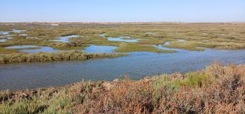 Ria Formosa