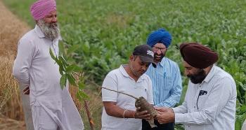 Serve environment