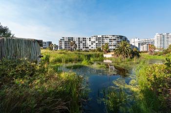 Wetlands in urban environments, Century City