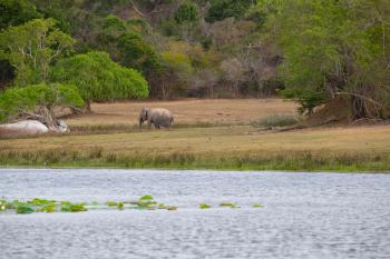 Kumana National Park, Ramsar Site