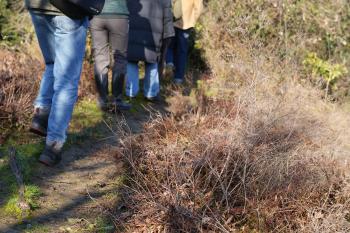 On World Wetlands Day (2 February), many European wetlands sites hosted events. In Venice, We are here Venice ETS led a visit to Lazzaretto Nuovo’s ‘Sentiero delle Barene’ to highlight the unique and essential role of salt marshes.
