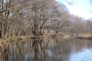 wetlands in Slowinski National Park, Poland