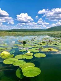 Hutovo blato Nature park