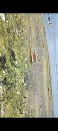 The photo is showing the pollution of Wullar Lake by human activities. This is a tourist spot Watlab. And also the house holds living on the banks discharge their waste directly into the lake
