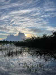 Sunrise over the Crooked Tree Lagoon