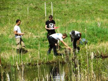 LIFE and LVAFA projects restored wetlands in Silene Nature Park, Latvia. Field research of the EMYS-R project team in Latvia. https://emysr.cnrs.fr