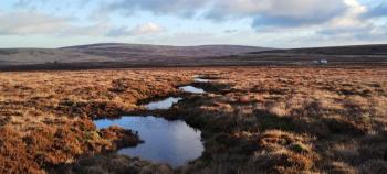 Newly installed Peat Dams that slow the flow of water from the moors of the Goyt Valley in the Peak District, UK. Moors for the Future Partnership 2025 (credit @nature_tales_uk)