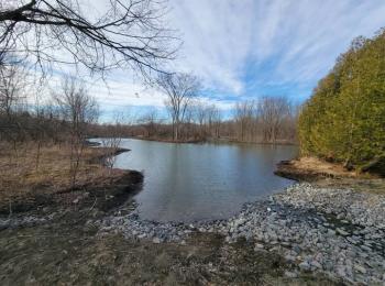 Butternut Creek Nature Reserve is a 135-acre former farm that is being restored to nature. In 2024, a complex of ponds and wetlands was restored and is now supporting birds, wildlife and native plants.