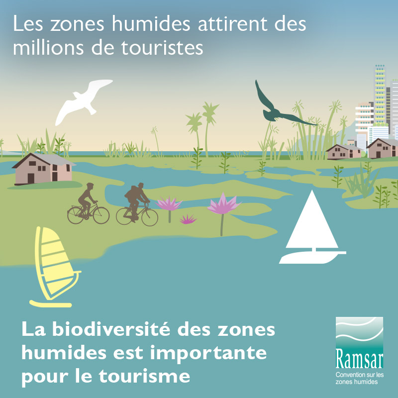 La biodiversité des zones humnides est importante pour le tourisme.