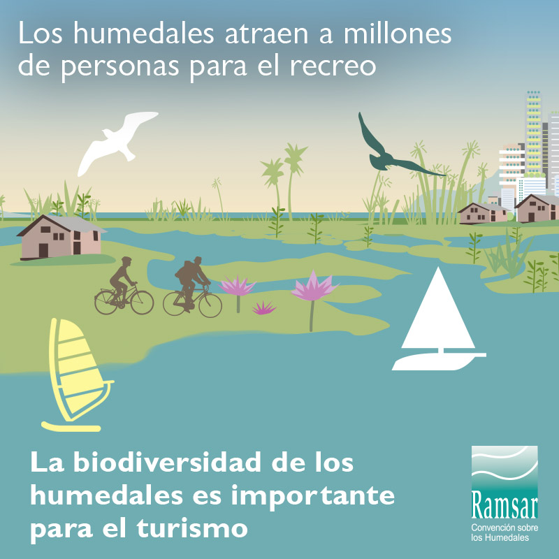 La biodiversidad de los humedales es importante para el turismo.